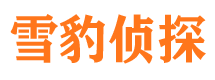 龙岩出轨调查